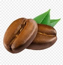 roasting coffee beans machine supplier in Bhubaneswar || Sankalp Coffee